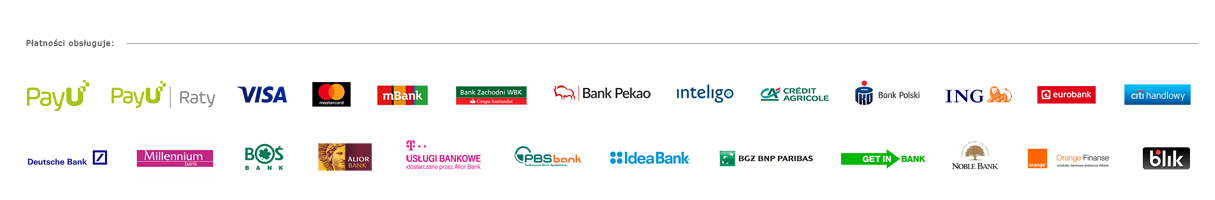 Pasek_banki_karty_raty(1).png